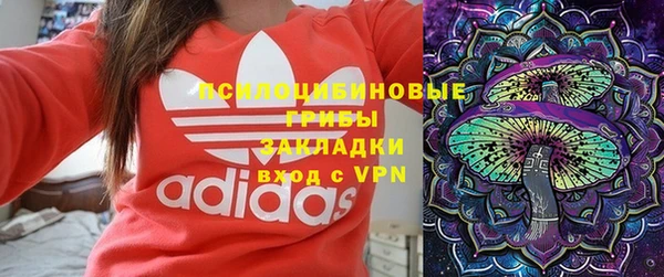бошки Армянск