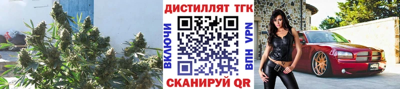 ТГК вейп с тгк  купить  цена  Острогожск 