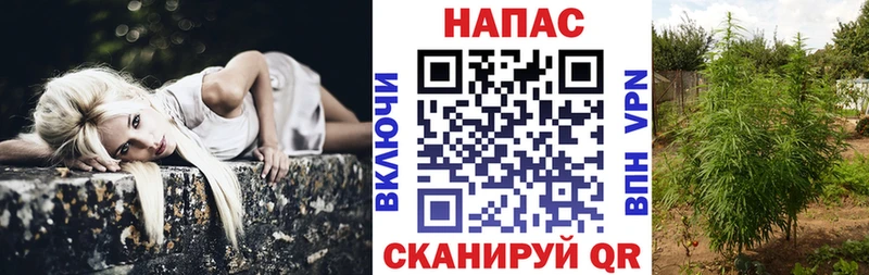 наркошоп  Острогожск  Шишки марихуана Ganja 